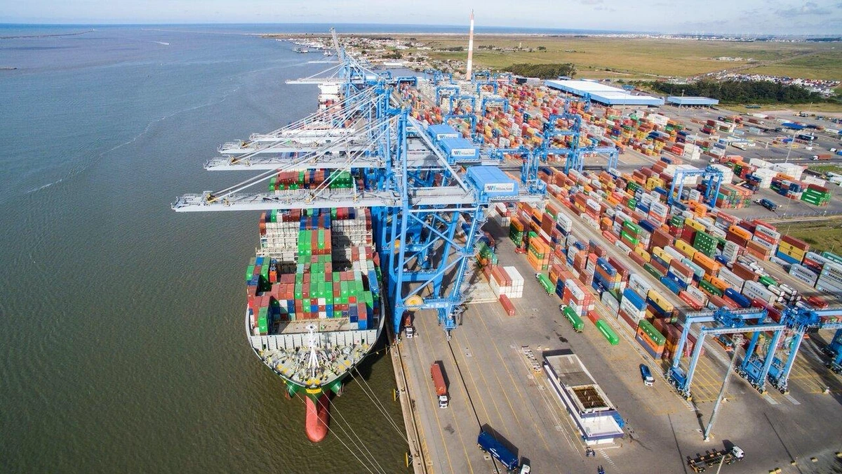 Sea Freight vs Air Freight